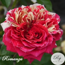 Romanza (Романза)