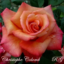 Christophe Colomb (Христофор Колумб)