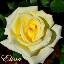 Elina (Элина)