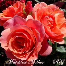 Matchless Mother (Мачлес Матер) - 