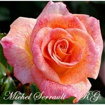 Michel Serrault / Мішель Серро