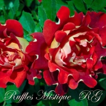 Mystique Ruffles / Містик Раффлз