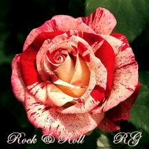 Rock-n-Roll (Рок-н-Ролл) - 