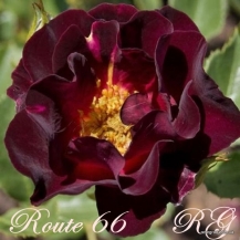Route 66 (Роут 66)