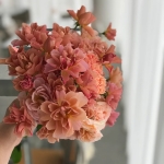 Sola / Сола