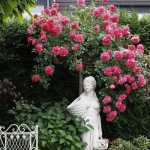 Rosarium Uetersen / Розаріум Ютерзен