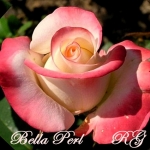 Belle Perle / Bella Perla  (Бель Перл)