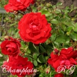 Champlain Чаймплэйн