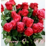 Cherry-O / Черрі-О