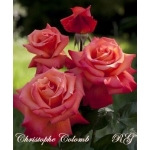 Christophe Colomb (Христофор Колумб)
