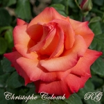Christophe Colomb (Христофор Колумб)