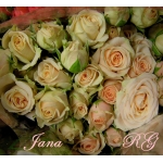 Jana / Яна