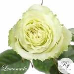 Lemonade / Лимонад