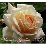 Martine Guillot (Мартин Гийо)