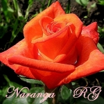 Naranga (Наранга)