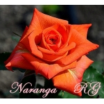 Naranga (Наранга)