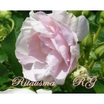 Ritausma (Ритаусма)