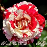 Rock-n-Roll (Рок-н-Ролл)