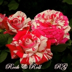 Rock-n-Roll (Рок-н-Ролл)