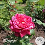 Romanza (Романза)