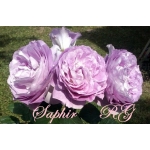 Saphir (Сапфир)