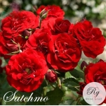 Satchmo / Сатчмо