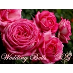 Wedding Bells (Веддинг Белз)